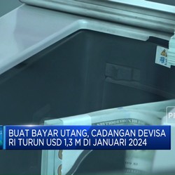 Video: Buat Bayar Utang, Cadev RI Januari 2024 Turun Jadi USD 145 M