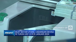 Video: Buat Bayar Utang, Cadev RI Januari 2024 Turun Jadi USD 145 M