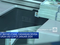 Video: Buat Bayar Utang, Cadev RI Januari 2024 Turun Jadi USD 145 M