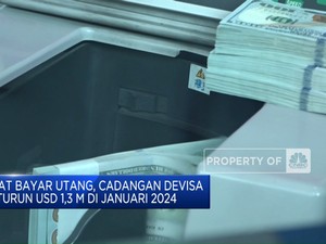  Buat Bayar Utang, Cadev RI Januari 2024 Turun Jadi USD 145 M