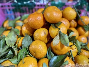 5 Tempat Beli Jeruk Dekopon hingga Ponkam untuk Imlek