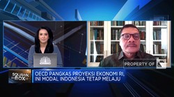 Proyeksi Ekonomi RI 2024 Dipangkas OECD, Pemerintah Siap Antisipasi?