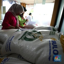 Beras Pemerintah Bakal Dikuras Terus, Stok di Gudang Bulog Cukup?