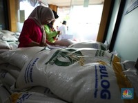 Beras Pemerintah Bakal Dikuras Terus, Stok di Gudang Bulog Cukup?