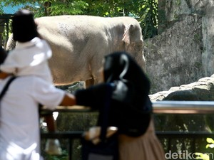 69.979 Pengunjung Padati Ragunan Hari Ini, 6 Anak Sempat Terpisah dari Ortu