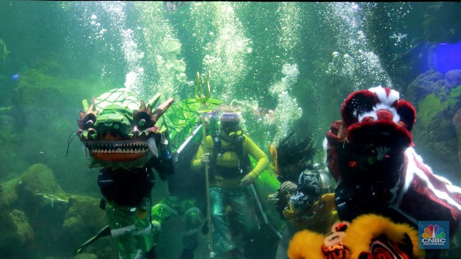 Wisatawan mengamati ikan di Sea World Ancol, Jakarta, Jakarta, Kamis (8/2/2024). Libur panjang dimanfaatkan warga Jakarta dan sekitarnya untuk mengunjungi tempat-tempat rekreasi di Ibu Kota. (CNBC Indonesia/Muhammad Sabki)