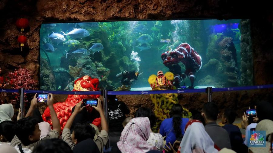 Wisatawan mengamati ikan di Sea World Ancol, Jakarta, Jakarta, Kamis (8/2/2024). Libur panjang dimanfaatkan warga Jakarta dan sekitarnya untuk mengunjungi tempat-tempat rekreasi di Ibu Kota. (CNBC Indonesia/Muhammad Sabki)