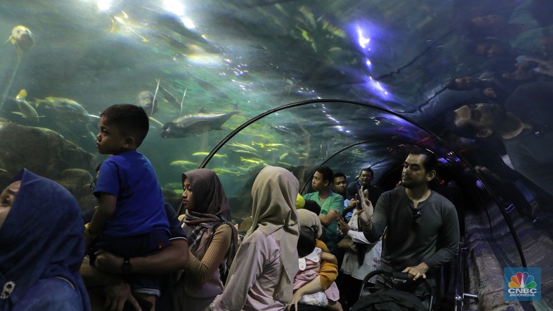 Wisatawan mengamati ikan di Sea World Ancol, Jakarta, Jakarta, Kamis (8/2/2024). Libur panjang dimanfaatkan warga Jakarta dan sekitarnya untuk mengunjungi tempat-tempat rekreasi di Ibu Kota. (CNBC Indonesia/Muhammad Sabki)