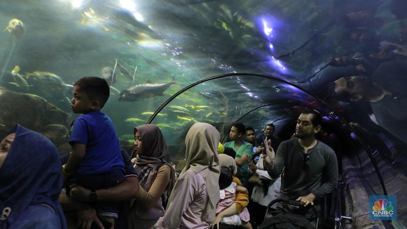 Wisatawan mengamati ikan di Sea World Ancol, Jakarta, Jakarta, Kamis (8/2/2024). Libur panjang dimanfaatkan warga Jakarta dan sekitarnya untuk mengunjungi tempat-tempat rekreasi di Ibu Kota. (CNBC Indonesia/Muhammad Sabki)