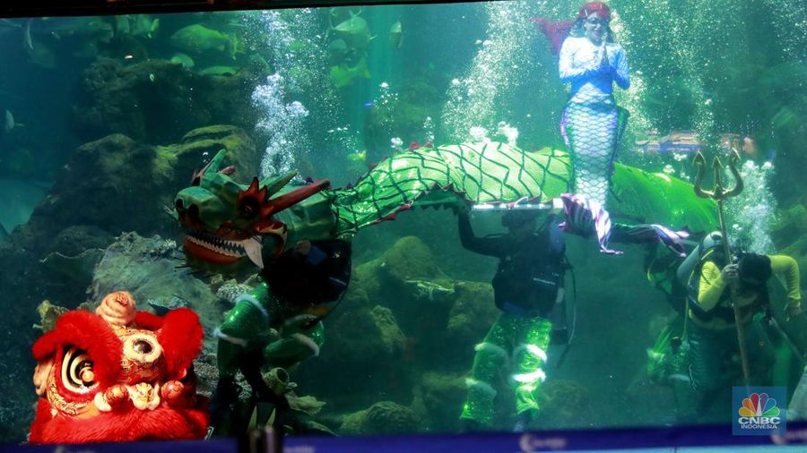Wisatawan mengamati ikan di Sea World Ancol, Jakarta, Jakarta, Kamis (8/2/2024). Libur panjang dimanfaatkan warga Jakarta dan sekitarnya untuk mengunjungi tempat-tempat rekreasi di Ibu Kota. (CNBC Indonesia/Muhammad Sabki)