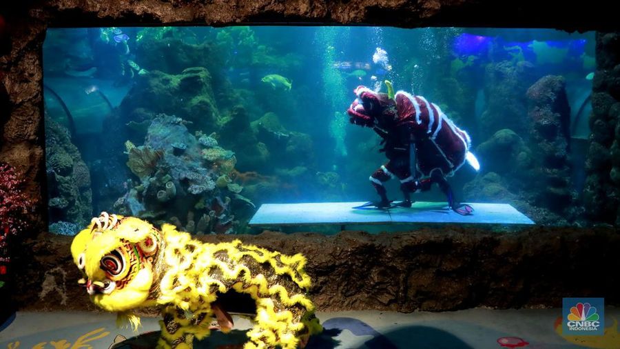 Wisatawan mengamati ikan di Sea World Ancol, Jakarta, Jakarta, Kamis (8/2/2024). Libur panjang dimanfaatkan warga Jakarta dan sekitarnya untuk mengunjungi tempat-tempat rekreasi di Ibu Kota. (CNBC Indonesia/Muhammad Sabki)