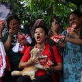 Bikin Heboh Media Asing, Ini Potret Caleg Bawa Kucing Saat Kampanye
