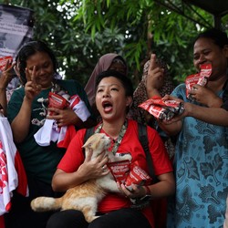 Bikin Heboh Media Asing, Ini Potret Caleg Bawa Kucing Saat Kampanye