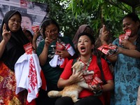 Bikin Heboh Media Asing, Ini Potret Caleg Bawa Kucing Saat Kampanye