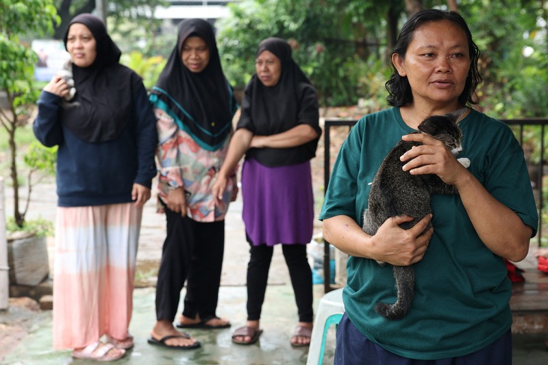 Calon legislatif Francine Widjojo kampenyekan kesadaran terhadap hewan. (REUTERS/Ajeng Dinar Ulfiana) Calon legislatif Francine Widjojo kampenyekan kesadaran terhadap hewan. (REUTERS/Ajeng Dinar Ulfiana)