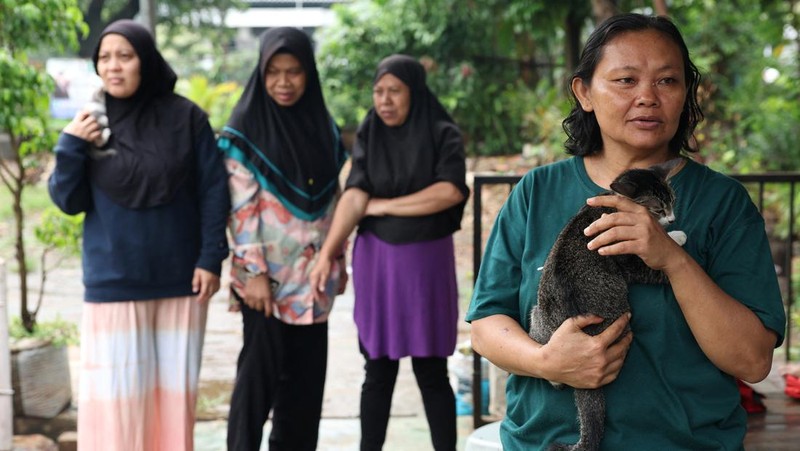 Calon legislatif Francine Widjojo kampenyekan kesadaran terhadap hewan. (REUTERS/Ajeng Dinar Ulfiana)