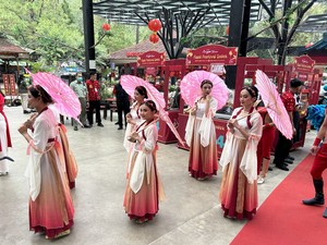 Meriah! Semarak Imlek 2024 di Taman Safari Bogor