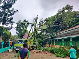 Gedung SD di Muba Tertimpa Pohon Tumbang Saat Hujan Angin