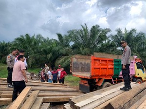 Polisi Sita Ratusan Batang Kayu Ilegal di Bangka Selatan, Pemilik Diburu