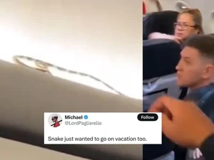 Ngeri dan Merinding! Viral Video Ular Merayap di Kabin Pesawat