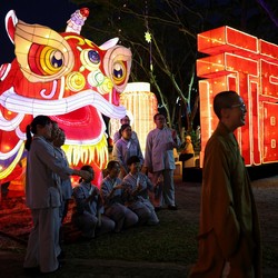 Ramalan Angka Keberuntungan 12 Shio Tahun Naga Kayu