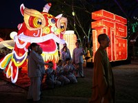 Ramalan Angka Keberuntungan 12 Shio Tahun Naga Kayu