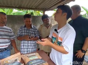 Kata Alshad soal 4 Harimau Mati di Medan Zoo: Karena Kurang Penanganan!
