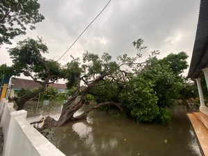 Angin Kencang Rusak 9 Rumah dan 2 Sekolah di Jombang