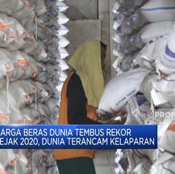 Harga Beras Dunia Tembus Rekor Sejak 2020, Dunia Terancam Kelaparan