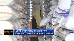 Harga Beras Dunia Tembus Rekor Sejak 2020, Dunia Terancam Kelaparan