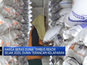 Harga Beras Dunia Tembus Rekor Sejak 2020, Dunia Terancam Kelaparan