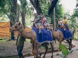 Hebat, Kebun Binatang Surabaya Bisa Bertahan dan Bangkit dari Pandemi