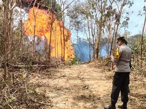 Sudah 3 Hari, Semburan Api Sumur Minyak Ilegal di Batanghari Belum Padam