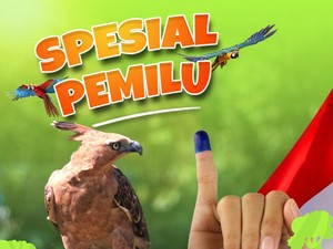 Promo Spesial Pemilu, Tiket Masuk Taman Safari Bogor Hanya Rp 200 Ribu