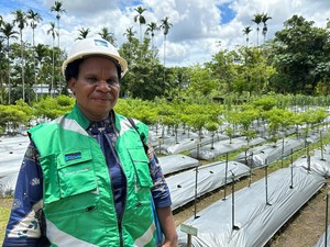 Kisah Warga Papua Merajut Masa Depan di Kawasan Tambang Freeport