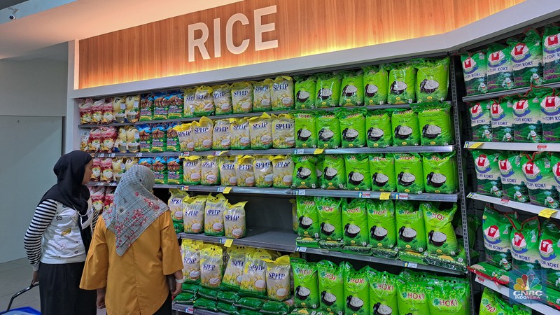 Warga melihat beras kemasan kualitas premium yang dijual pada salah satu gerai Hypermart di Jakarta, Senin (12/4/2024). Warga melihat beras kemasan kualitas premium yang dijual pada salah satu gerai Hypermart di Jakarta, Senin (12/4/2024). (CNBC Indonesia/Faisal Rahman)