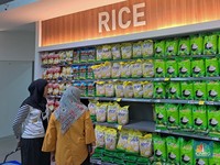 Kronologi Penyebab Beras Premium Bisa Mahal dan Langka di Ritel Modern