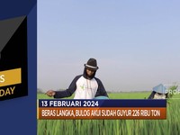 Video: Beras Mulai Langka Hingga Belanda Hukum Israel