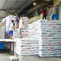 Stok Beras di Gudang Bulog Kalahkan Era Soeharto, di Cipinang Segini