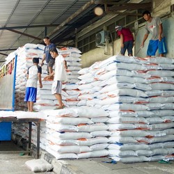 Stok Beras di Gudang Bulog Kalahkan Era Soeharto, di Cipinang Segini