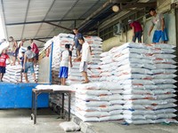 Stok Beras di Gudang Bulog Kalahkan Era Soeharto, di Cipinang Segini