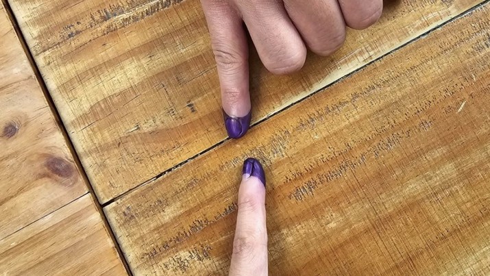 Dian Sastrowardoyo nyoblos di TPS. (Tangkapan layar Instagram @therealdisastr)