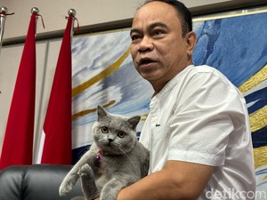 Menkominfo Keukeuh Genjot Internet RI 100 Mbps, Nasib di Daerah?