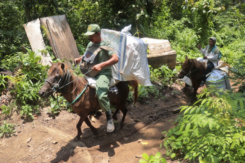 Warga suku Baduy membawa kotak suara untuk didistribusikan ke TPS menjelang pemilu 14 Februari, di desa Kanekes, Banten, Selasa, 13 Februari 2024. (AP Photo/Rangga Firmansyah)