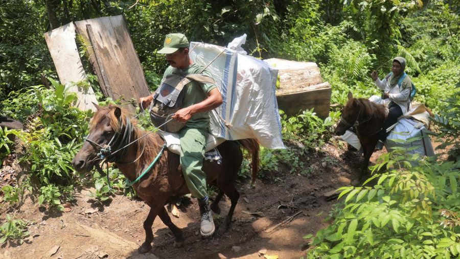 Warga suku Baduy membawa kotak suara untuk didistribusikan ke TPS menjelang pemilu 14 Februari, di desa Kanekes, Banten, Selasa, 13 Februari 2024. (AP Photo/Rangga Firmansyah)