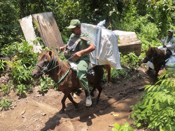 Naik Kuda, Potret Distribusi Surat Suara Pemilu dari Sungai ke Gunung