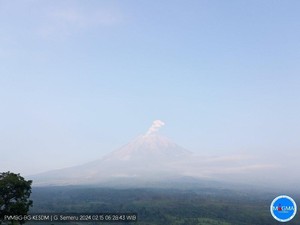 Semeru Erupsi Empat Kali Pagi Ini, Tinggi Abu Vulkanik 700 Meter hingga 4 Km