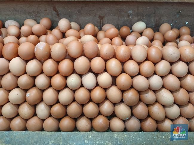 4 Efek Samping Berbahaya Terlalu Banyak Makan Telur