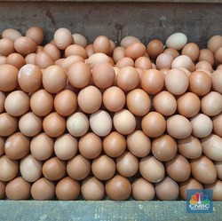 3 Cara Makan Telur Tanpa Khawatir Kolesterol Tinggi