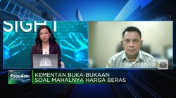 Video: Kementan Ungkap 3 Pemicu Beras Langka & Masih Mahal
